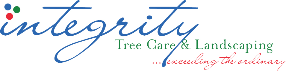 Tree Care Gallery